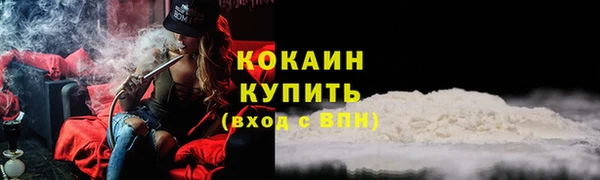 дурь Новодвинск