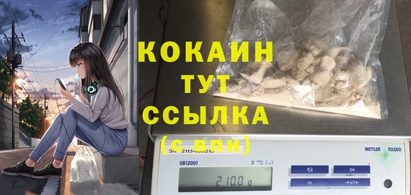 прущие грибы Абаза