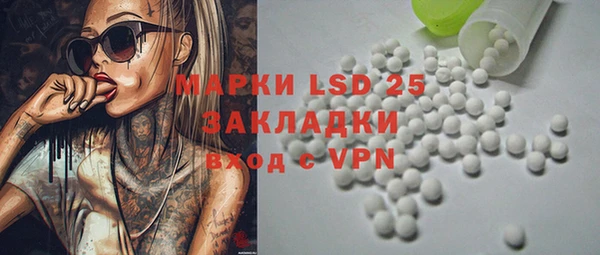 прущие грибы Абаза