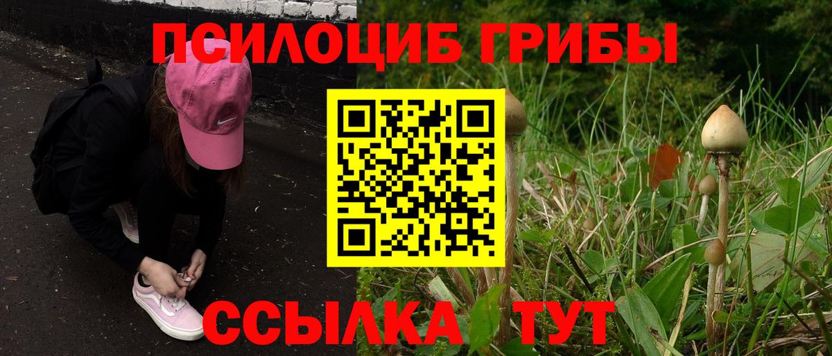Галлюциногенные грибы Cubensis Троицк